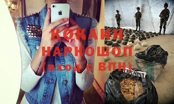дмт Богданович