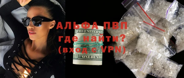 дмт Богданович