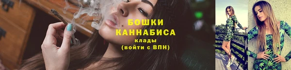 дмт Богданович