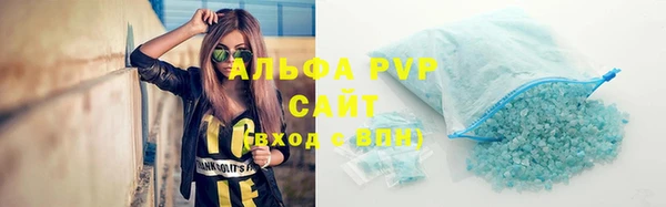дмт Богданович
