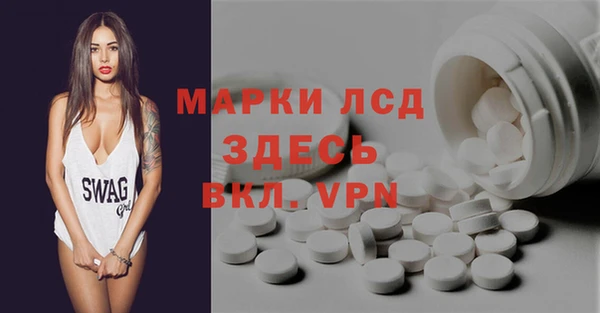 дмт Богданович