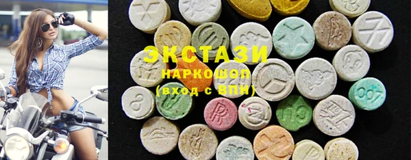 дмт Богданович