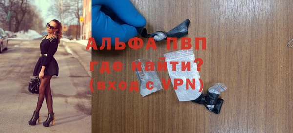 дмт Богданович